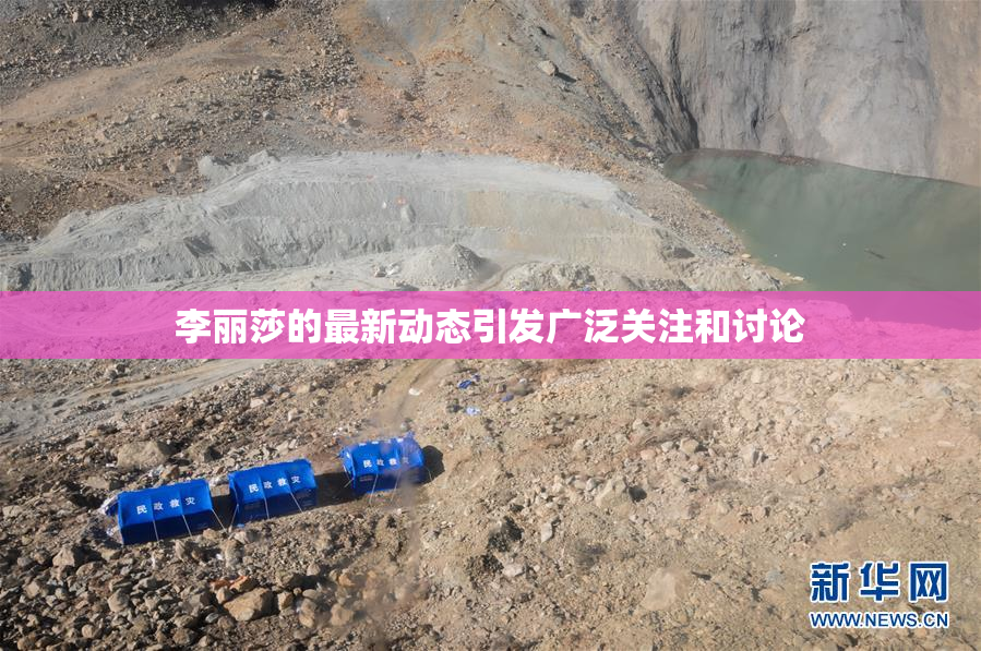 李丽莎的最新动态引发广泛关注和讨论
