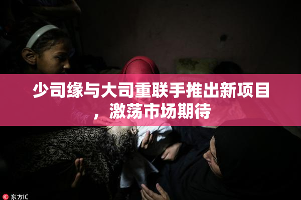少司缘与大司重联手推出新项目，激荡市场期待