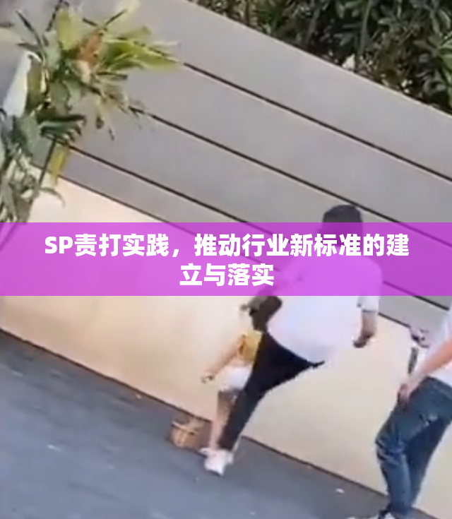 SP责打实践，推动行业新标准的建立与落实