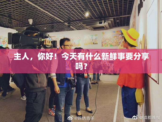 主人，你好！今天有什么新鲜事要分享吗？