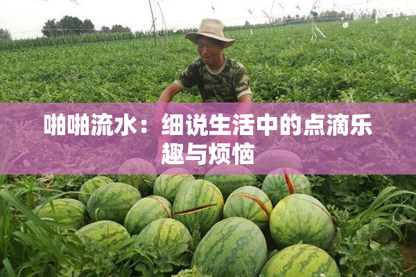 啪啪流水：细说生活中的点滴乐趣与烦恼