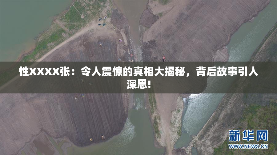 性XXXX张：令人震惊的真相大揭秘，背后故事引人深思!