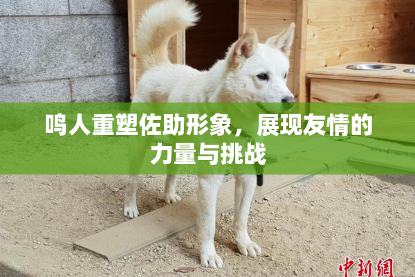 鸣人重塑佐助形象，展现友情的力量与挑战