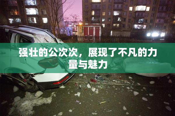 强壮的公次次，展现了不凡的力量与魅力