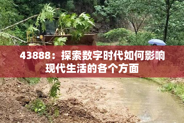 43888：探索数字时代如何影响现代生活的各个方面