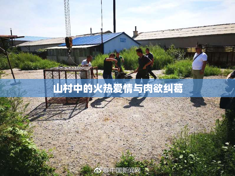 山村中的火热爱情与肉欲纠葛