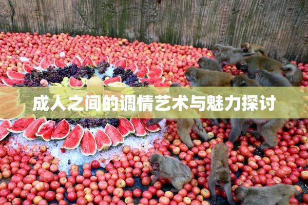成人之间的调情艺术与魅力探讨