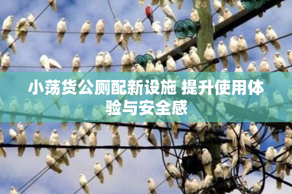 小荡货公厕配新设施 提升使用体验与安全感