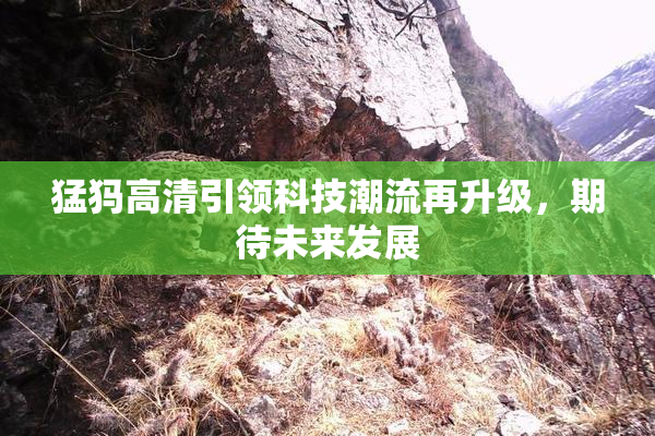 猛犸高清引领科技潮流再升级，期待未来发展