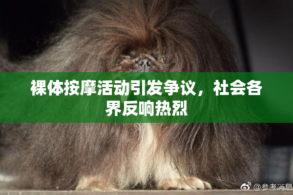 裸体按摩活动引发争议，社会各界反响热烈