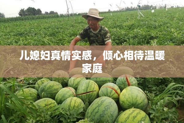 儿媳妇真情实感，倾心相待温暖家庭