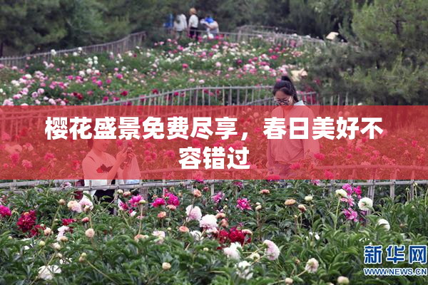 樱花盛景免费尽享，春日美好不容错过