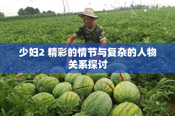 少妇2 精彩的情节与复杂的人物关系探讨