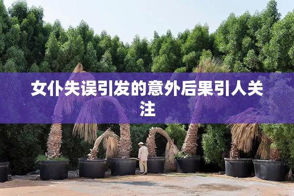 女仆失误引发的意外后果引人关注