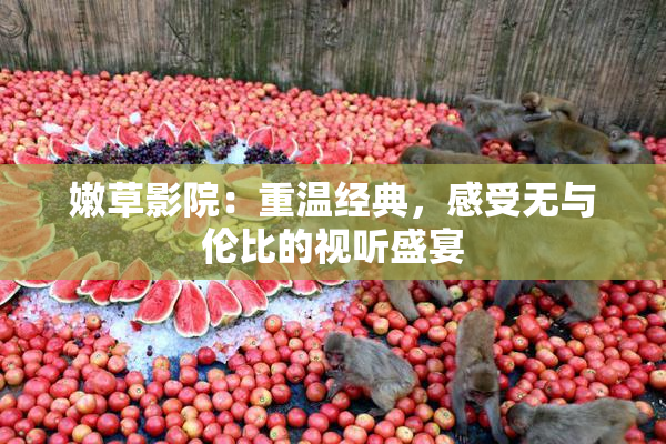 嫩草影院：重温经典，感受无与伦比的视听盛宴