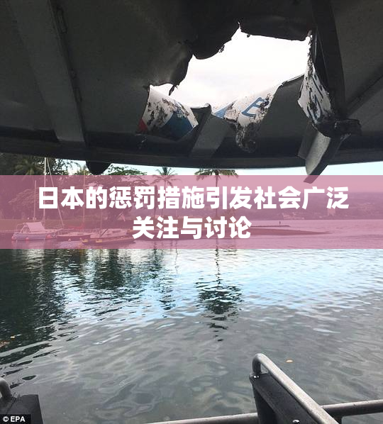 日本的惩罚措施引发社会广泛关注与讨论