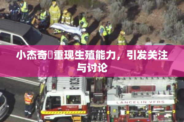 小杰奇犽重现生殖能力，引发关注与讨论