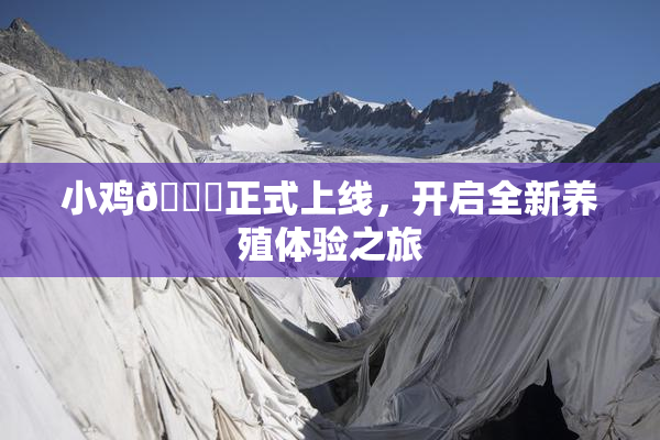 小鸡🐔正式上线，开启全新养殖体验之旅