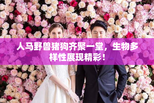 人马野兽猪狗齐聚一堂，生物多样性展现精彩！