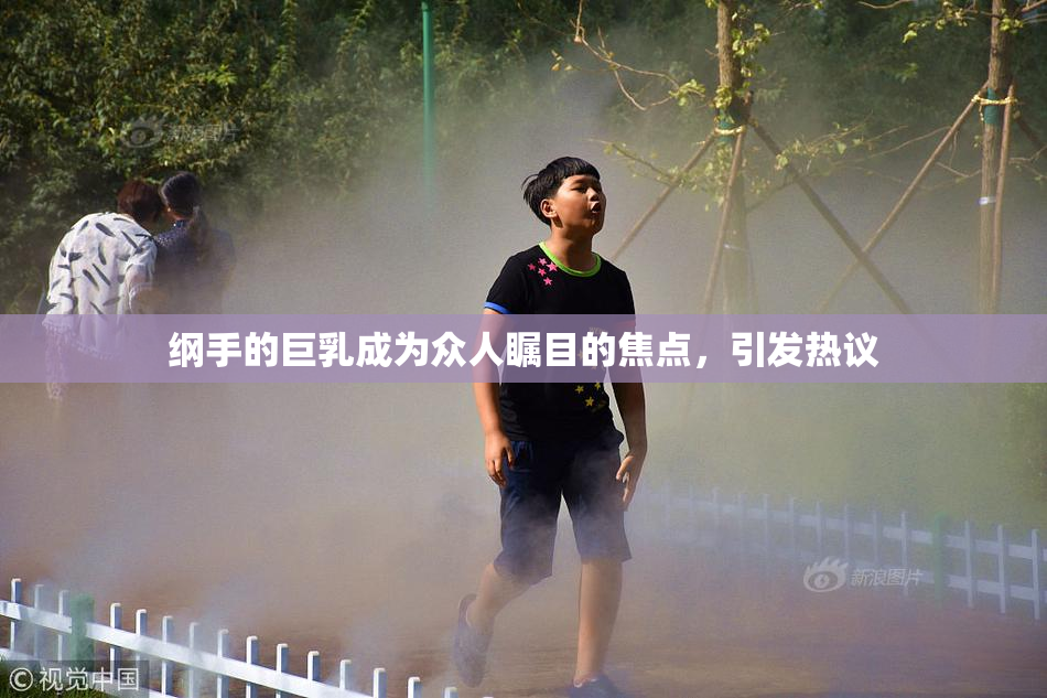 纲手的巨乳成为众人瞩目的焦点，引发热议