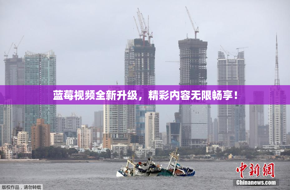 蓝莓视频全新升级，精彩内容无限畅享！