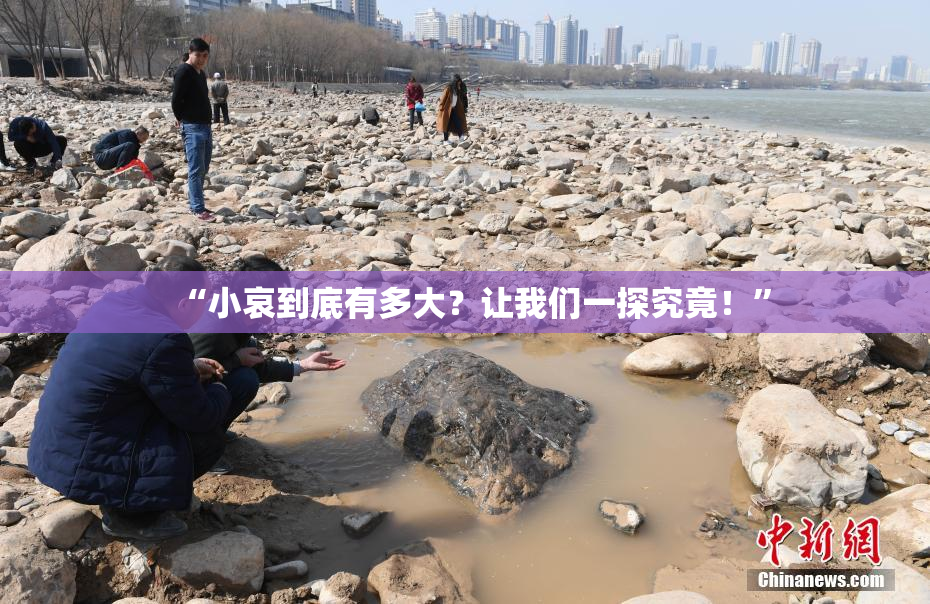 “小哀到底有多大？让我们一探究竟！”