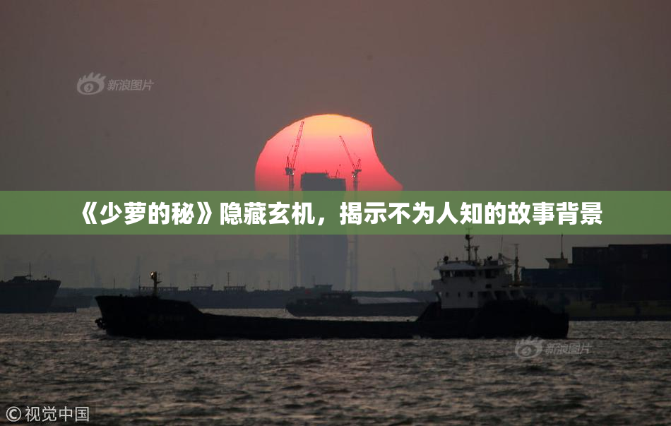 《少萝的秘》隐藏玄机，揭示不为人知的故事背景