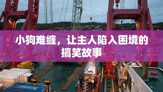 小狗难缠，让主人陷入困境的搞笑故事