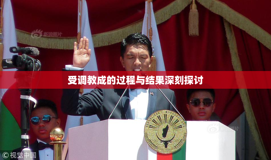 受调教成的过程与结果深刻探讨