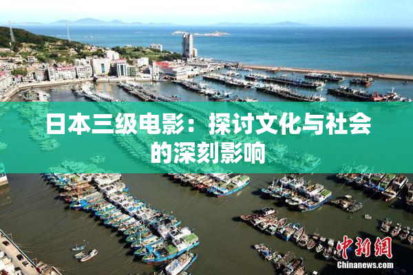 日本三级电影：探讨文化与社会的深刻影响