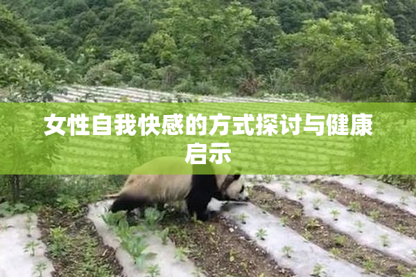 女性自我快感的方式探讨与健康启示