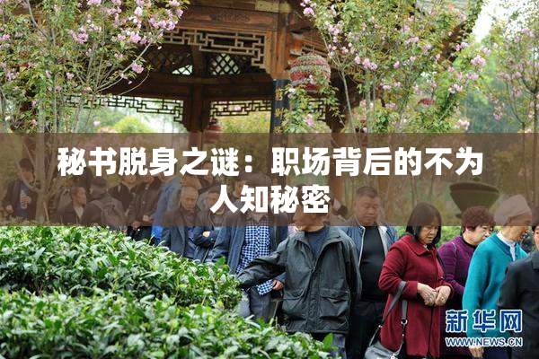 秘书脱身之谜：职场背后的不为人知秘密