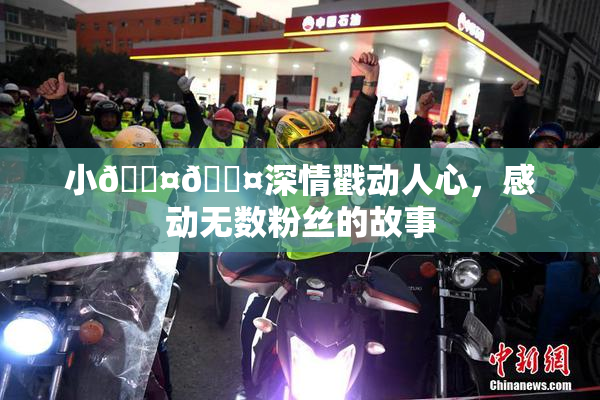 小🐤🐤深情戳动人心，感动无数粉丝的故事