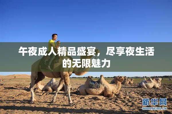 午夜成人精品盛宴，尽享夜生活的无限魅力