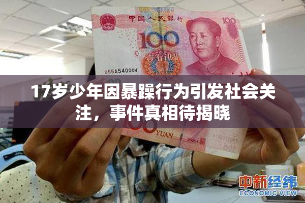 17岁少年因暴躁行为引发社会关注，事件真相待揭晓