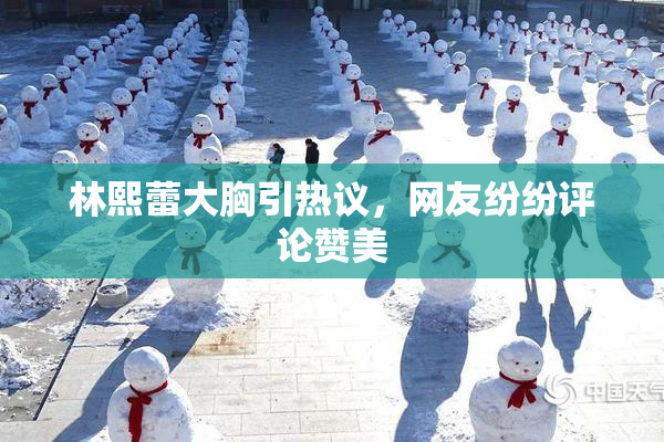 林熙蕾大胸引热议，网友纷纷评论赞美