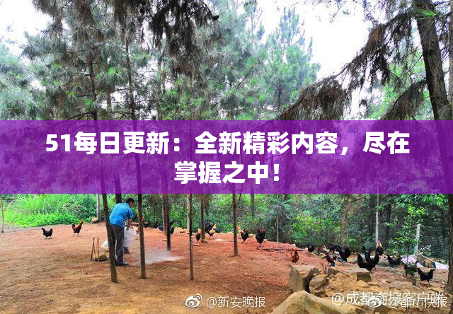 51每日更新：全新精彩内容，尽在掌握之中！