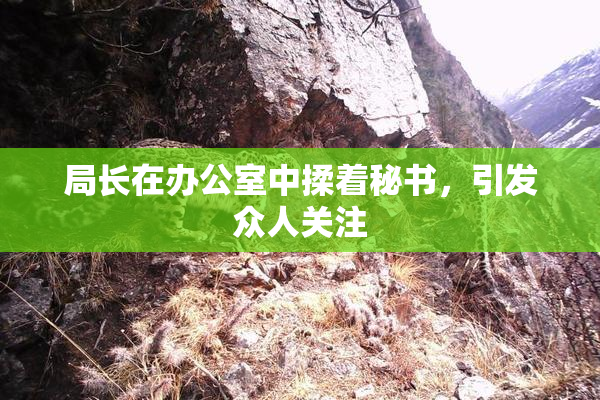 局长在办公室中揉着秘书，引发众人关注