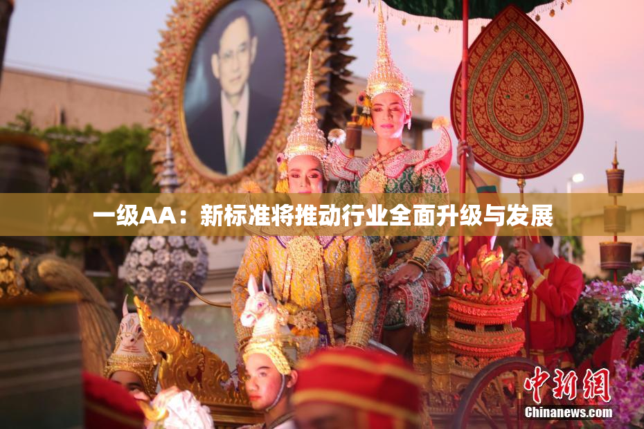 一级AA：新标准将推动行业全面升级与发展