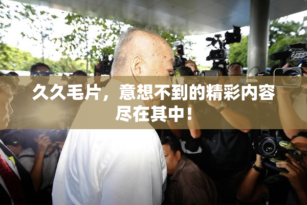 久久毛片，意想不到的精彩内容尽在其中！