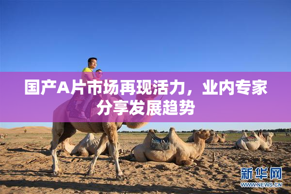 国产A片市场再现活力，业内专家分享发展趋势