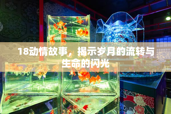 18动情故事，揭示岁月的流转与生命的闪光