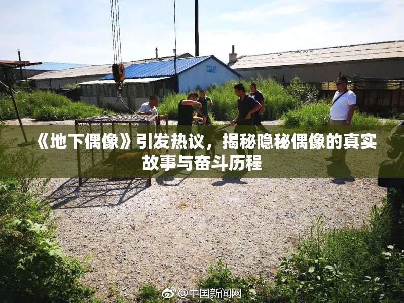《地下偶像》引发热议，揭秘隐秘偶像的真实故事与奋斗历程