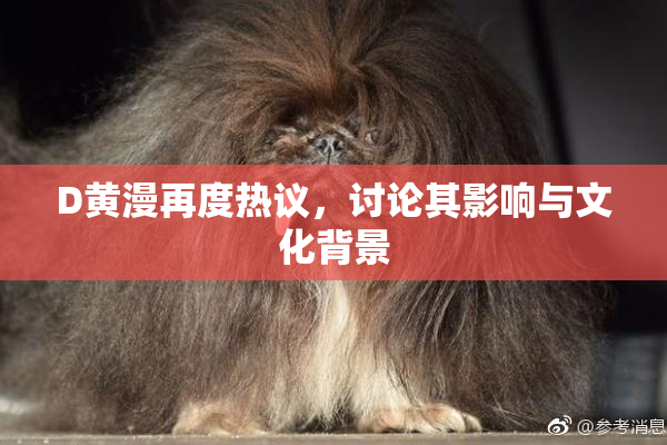 D黄漫再度热议，讨论其影响与文化背景