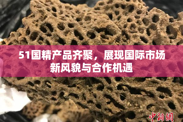 51国精产品齐聚，展现国际市场新风貌与合作机遇