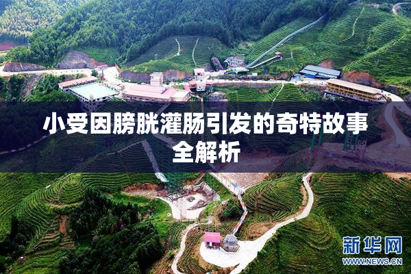 小受因膀胱灌肠引发的奇特故事全解析