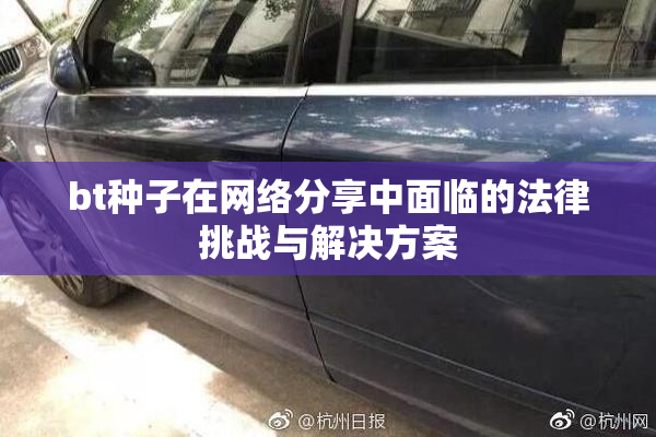 bt种子在网络分享中面临的法律挑战与解决方案