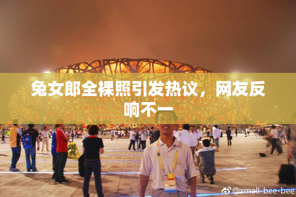 兔女郎全裸照引发热议，网友反响不一