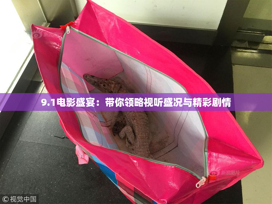 9.1电影盛宴：带你领略视听盛况与精彩剧情