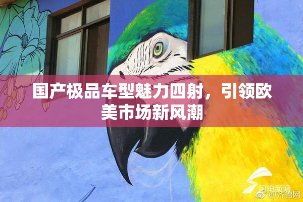 国产极品车型魅力四射，引领欧美市场新风潮